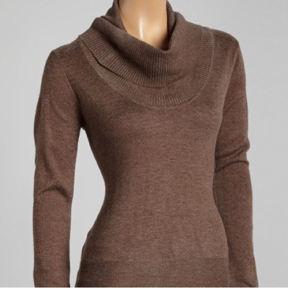 Banana Republic Brown Turtleneck Sweater